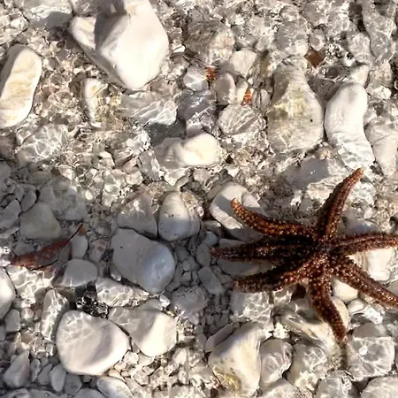 Appartement Rojena Valo Rogoznica (Sibenik-Knin)