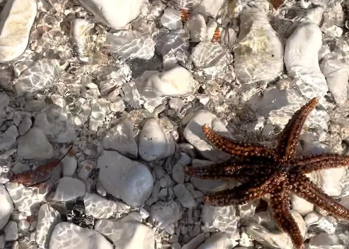 Apartamento Rojena Valo Rogoznica (Sibenik-Knin)